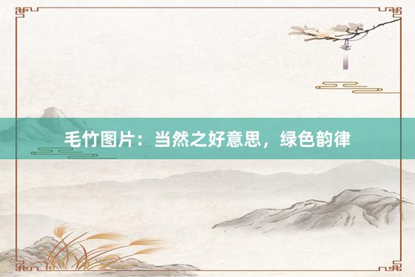 毛竹图片：当然之好意思，绿色韵律