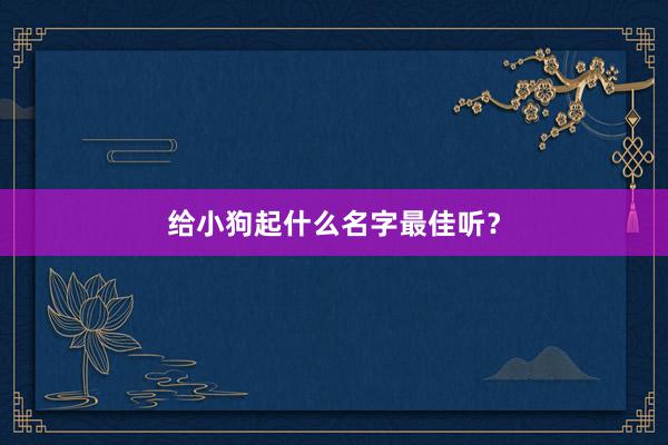 给小狗起什么名字最佳听？