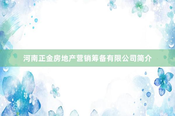河南正金房地产营销筹备有限公司简介